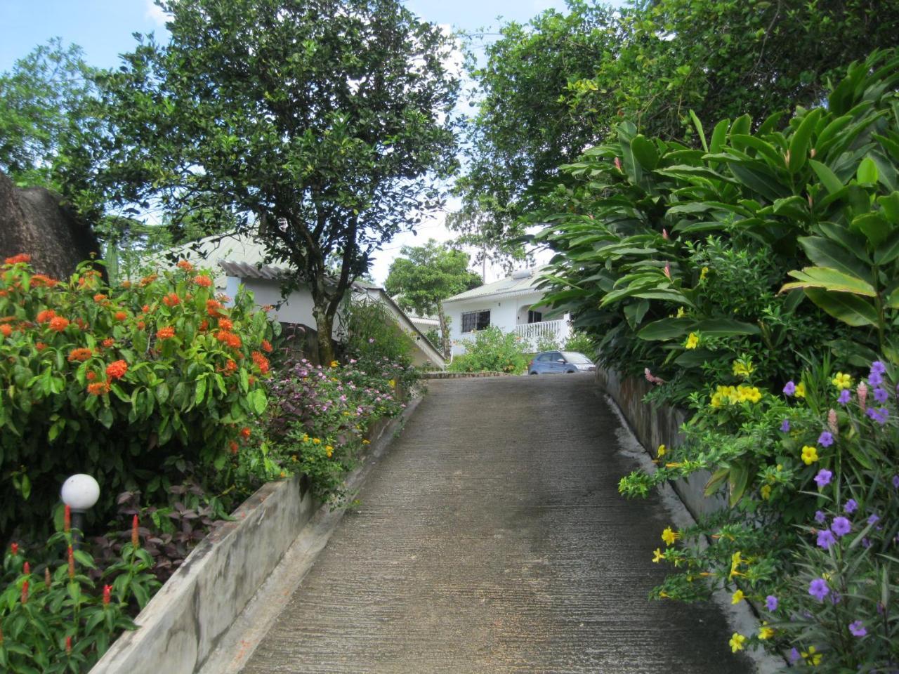 Chepsted Chalets Glacis  Luaran gambar