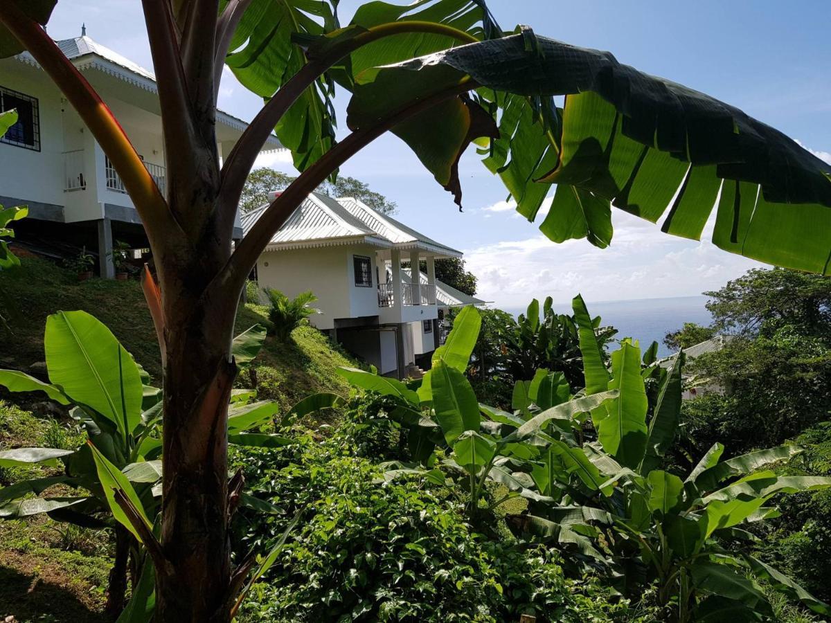 Chepsted Chalets Glacis  Luaran gambar